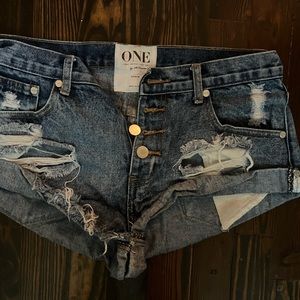 One teaspoon bandit shorts 27